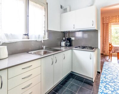 GRIFEU 14 – Apartamento con terraza y jardín