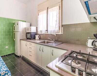 GRIFEU 14 – Apartamento con terraza y jardín