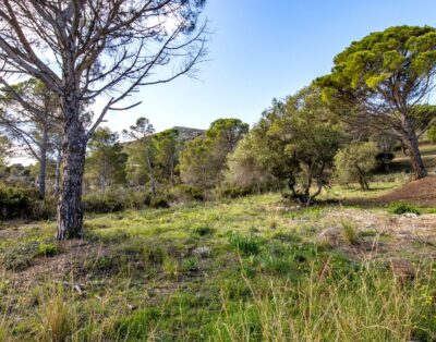PORT DE LA SELVA 94 – Apartamento con jardín