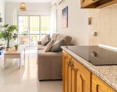 GRIFEU 18 – Apartamento con terraza y vistas
