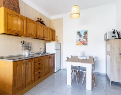 GRIFEU 18 – Apartamento con terraza y vistas