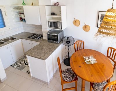 GRIFEU 13.1 – Duplex apartment with 2 terraces and views